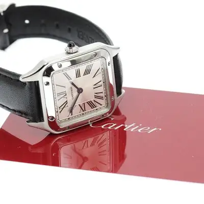 Cartier SANTOS-DUMONT SM WSSA0023 SS Silver