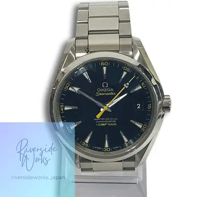 Omega Seamaster 231.10.42.21.03.004