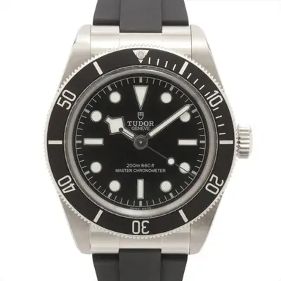 Tudor Black bay 7941A1A0NU SS SS