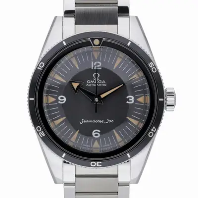 Omega Seamaster 234.10.39.20.01.001