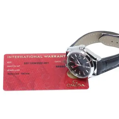 Omega Seamaster 231.13.34.20.01.001