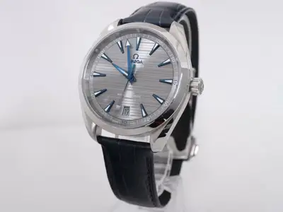 Omega Seamaster 220.13.41.21.06.001