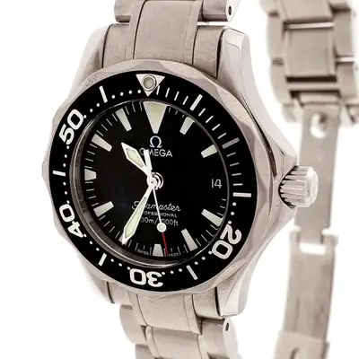 Omega Seamaster Steel Wrist