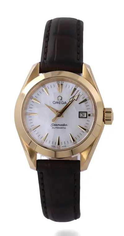 Omega Seamaster Aqua Terra Date 29