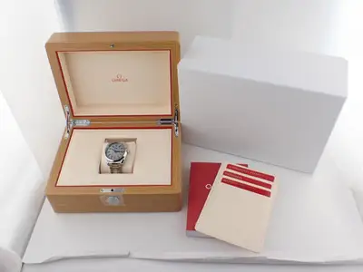 Omega Seamaster 220.10.41.21.06.001