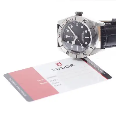 Tudor Black Bay 79730