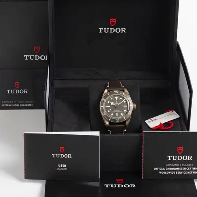 Tudor Black Bay 79010SG