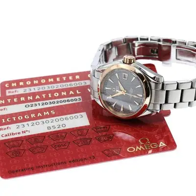 Omega Seamaster 231.20.30.20.06.003