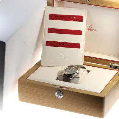 Omega Seamaster 220.23.38.20.06.001