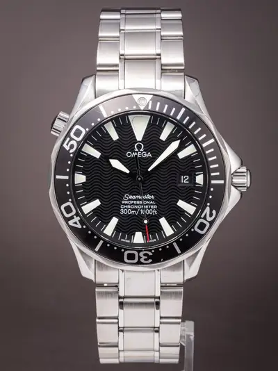 Omega Seamaster Peter Blake Stainless Steel