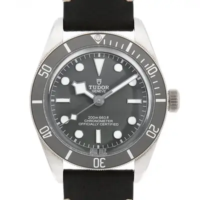 Tudor Black Bay 79010SG