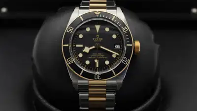 Tudor Black Bay 79733