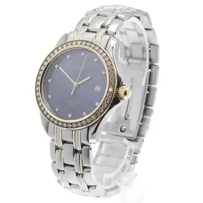 Omega SEAMASTER 120 SS Gray #C17322