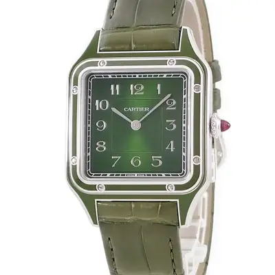 Cartier Santos WGSA0096 Platinum 31. #HDW709