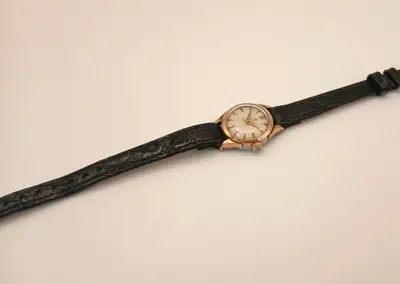 Omega Early Seamaster 2572-11 Shark 2