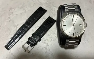 Omega Seamaster Cosmic