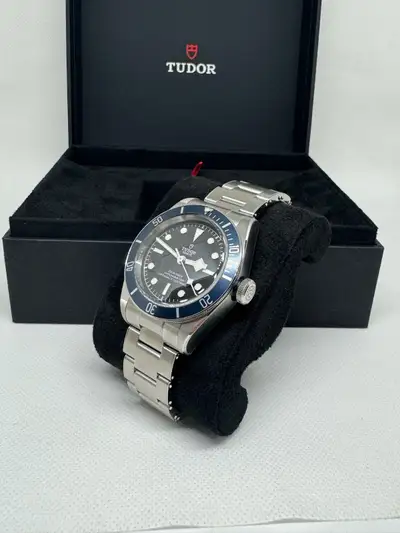 Tudor Black Bay M79230B-0008