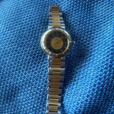 Omega Seamaster Dynamic Ammonite Gold