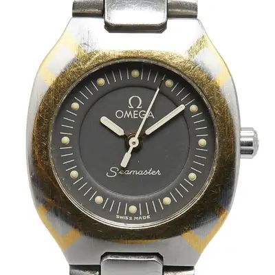 Omega Seamaster Polaris Gray Working