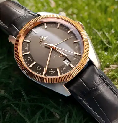 Omega Globemaster Annual Calendar 18k Not