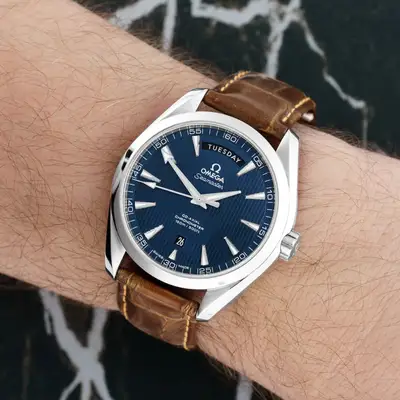 Omega Aqua Terra 231.13.42.22.03.001