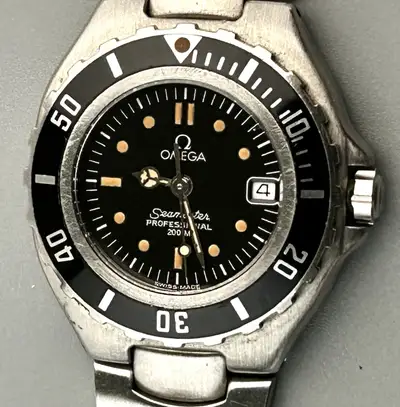 Omega Seamaster Professional
