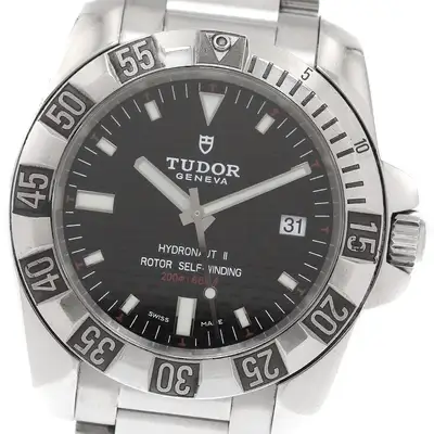 Tudor 20040