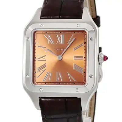 Cartier Santos WGSA0113 Platinum #HDW1857