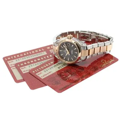 Omega Seamaster 231.20.30.20.06.001