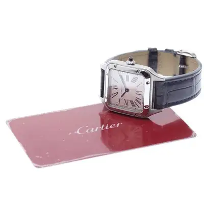Cartier SANTOS-DUMONT SM WSSA0023 SS Silver