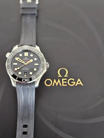 Omega Seamaster 210.22.42.20.01.004