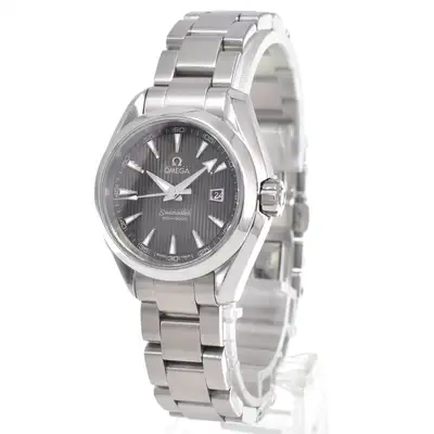 Omega Seamaster Aqua Terra Stainless Steel