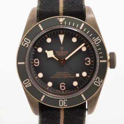 Tudor Black Bay 79250B