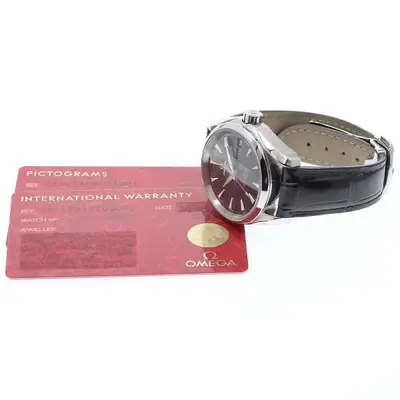 Omega Seamaster 231.13.39.22.01.001