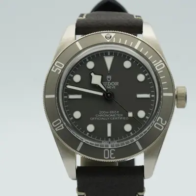 Tudor Black Bay 79010