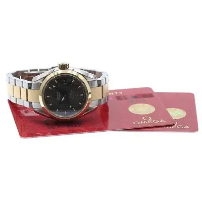 Omega Seamaster 231.20.30.20.06.001