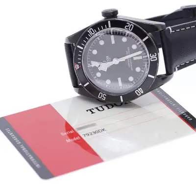 Tudor Black Bay 79230DK