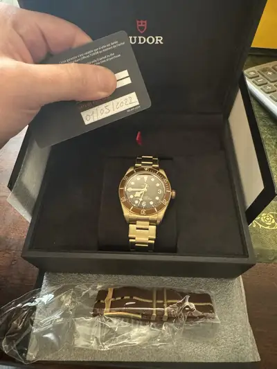 Tudor Black Bay