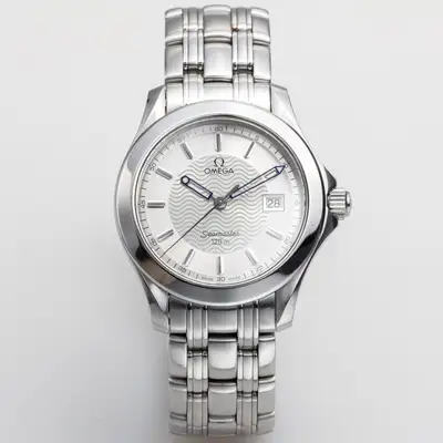 Omega Seamaster Professional Men Silver Date