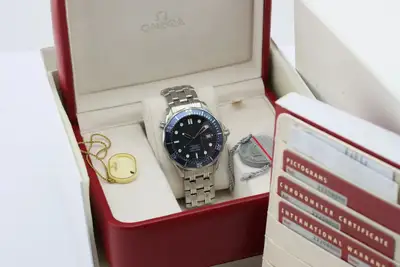 Omega Seamaster 22208000
