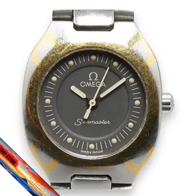 Omega Seamaster Polaris Stainless Steel