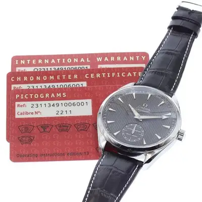Omega Seamaster 231.13.49.10.06.001