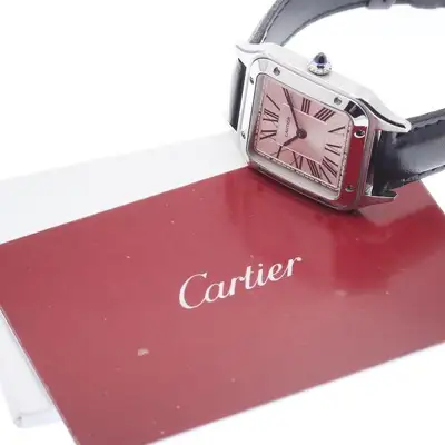 Cartier SANTOS-DUMONT SM WSSA0023 SS Silver